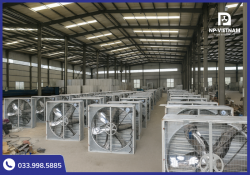 Nơi bán quạt thông gió công nghiệp uy tín – NP Việt Nam phân phối toàn quốc