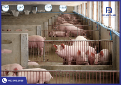 Top 5 quạt thông gió trang trại bền nhất năm 2026