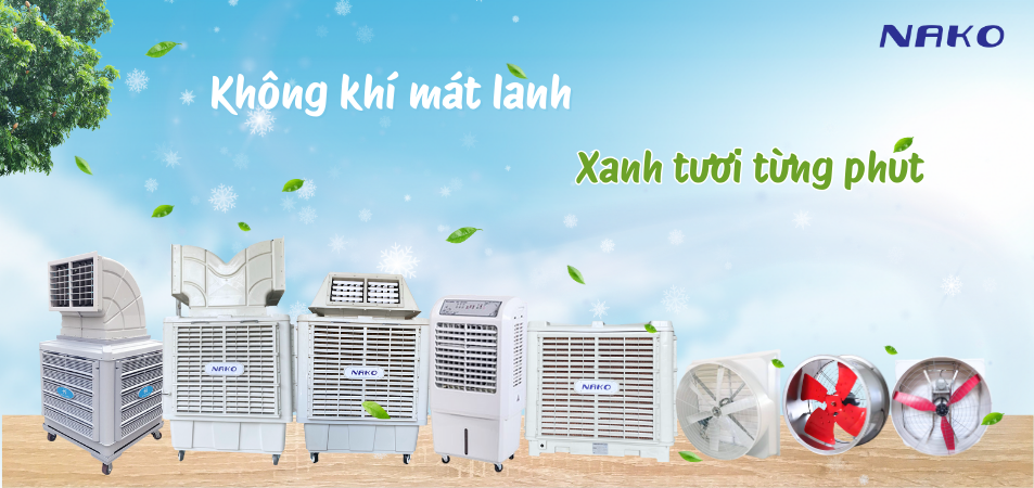 NGUYỄN HẢI NAM