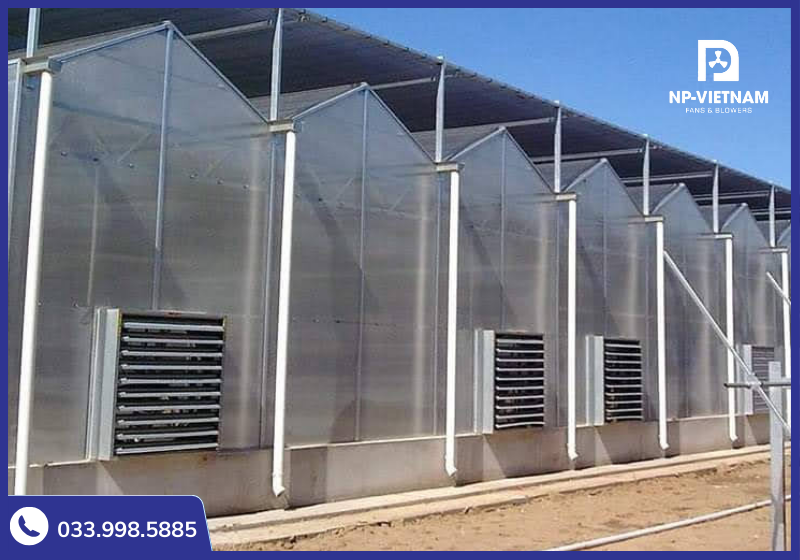 Quạt hút vuông là dòng được sử dụng phổ biến nhất hiện nay