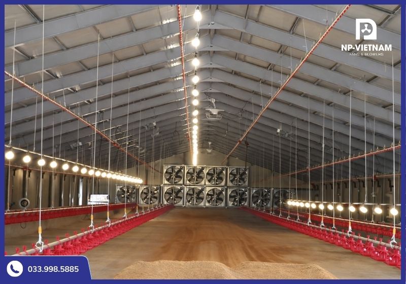 Quạt thông gió là thiết bị không thể thiếu của trang trại chăn nuôi