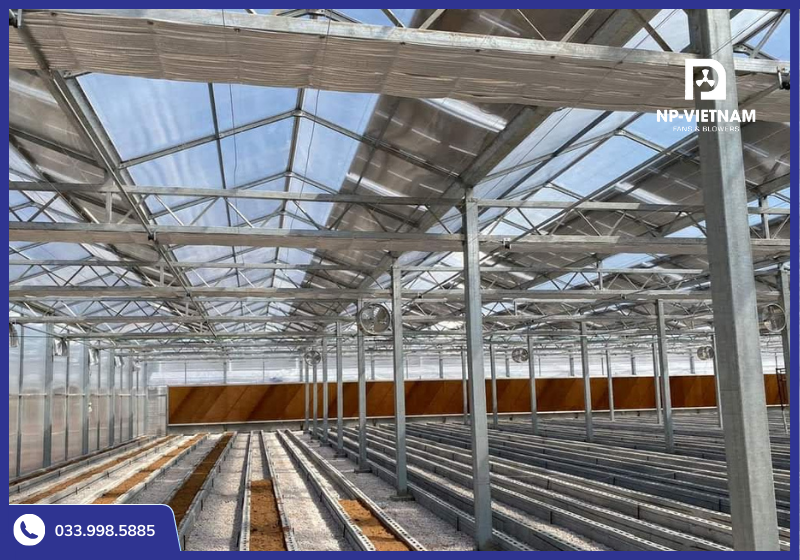 Luồng gió mát đồng đều giúp cây trồng phát triển tốt