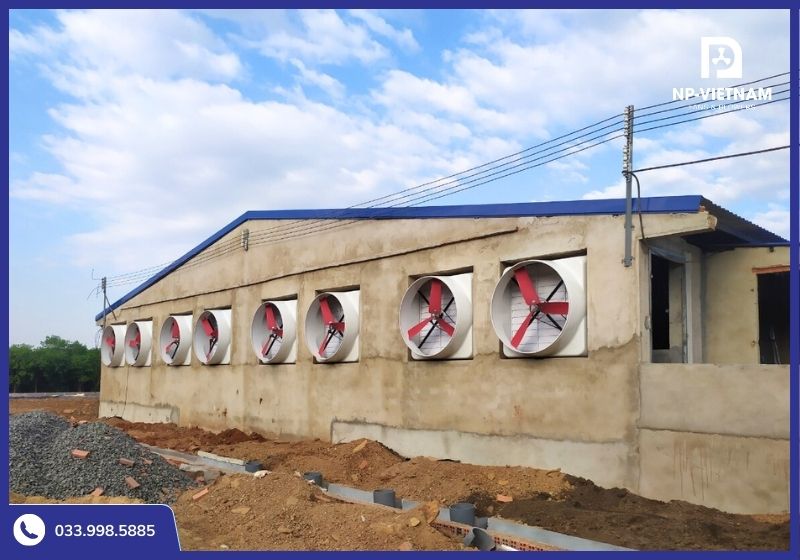 Hệ thống quạt thông gió composite NAKO lắp đặt thực tế cho chuồng trại