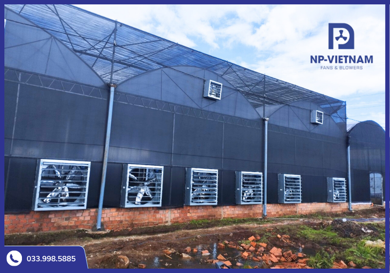Lắp đặt quạt thông gió cho nhà kính nông nghiệp