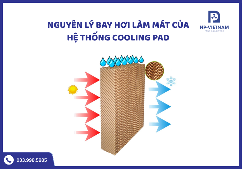 Nguyên lý bay hơi nước giúp không khí nóng đi qua tấm cooling pad trở nên mát hơn