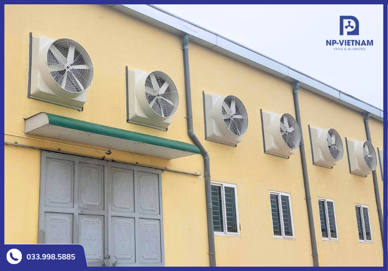 Ngày càng nhiều doanh nghiệp lựa chọn quạt composite sử dụng cho nhà xưởng, trang trại