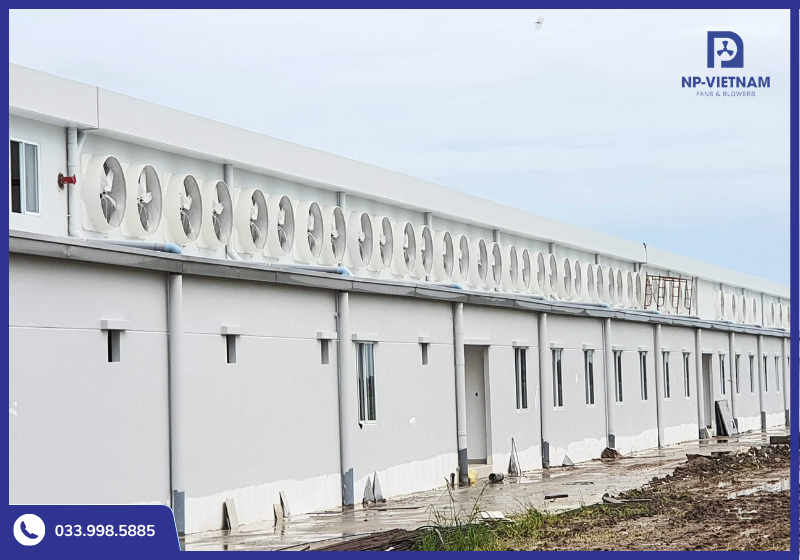 Quạt được ứng dụng tại nhiều nhà máy, khu công nghiệp hiện đại