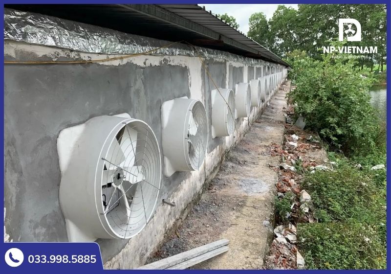Quạt Composite NAKO chống ăn mòn là lựa chọn hàng đầu cho các trang trại chăn nuôi hiện nay