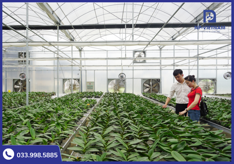 Sản phẩm được ứng dụng rộng rãi trong nông nghiệp nhà kính