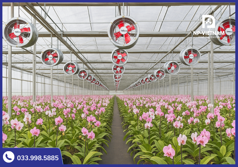 Quạt thông gió tròn NAKO sử dụng trong nhà kính trồng lan