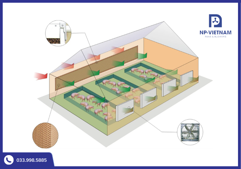 Hệ thống làm mát trang trại kết hợp quạt thông gió NAKO và tấm làm mát Cooling Pad HAFUJI