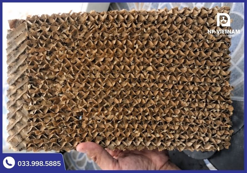 Tấm cooling pad bị bẩn chính là nguyên nhân khiến quạt gây ảnh hưởng xấu đến sức khỏe