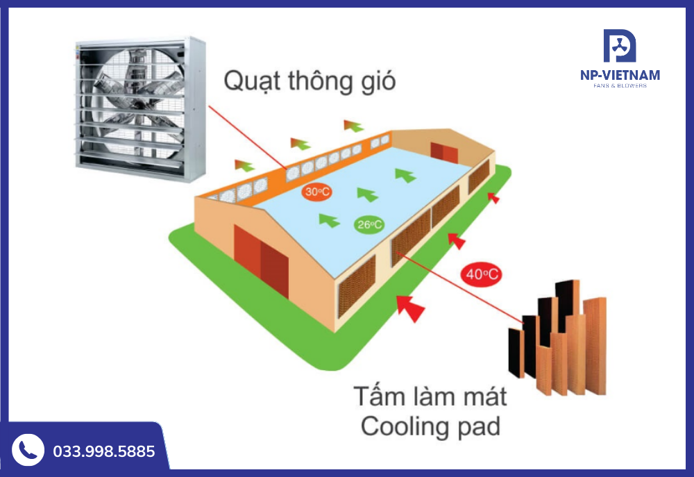 Khi kết hợp  hệ thống quạt hút công nghiệp cùng tấm cooling pad sẽ tăng hiệu quả thông gió làm mát