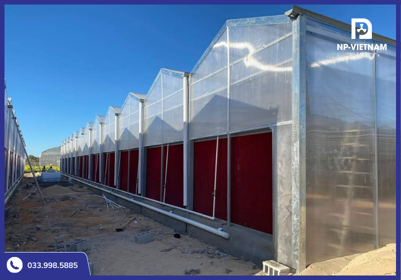 Tấm làm mát bay hơi sử dụng trong nhà kính nông nghiệp